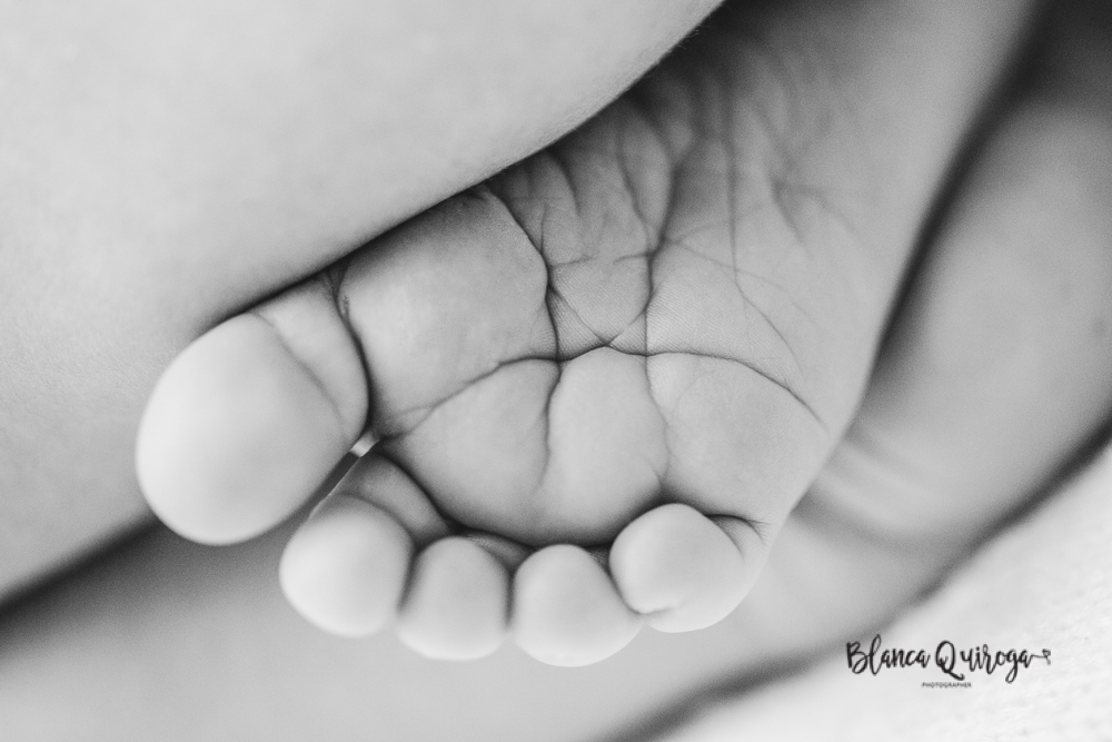 Blanca Quiroga. Fotografia Newborn, regine nacido, bebe en estudio de Sevilla.